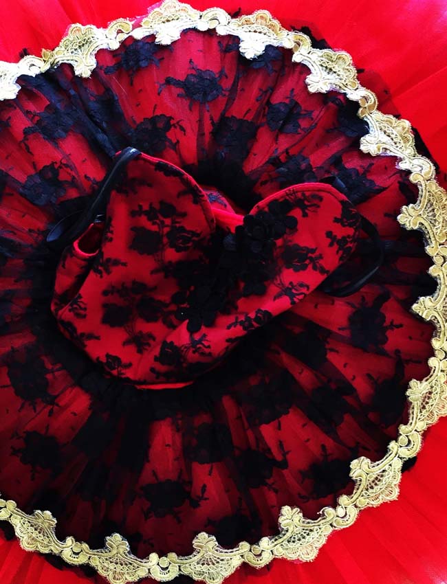 Don Quixote Ballet Tutu Pro