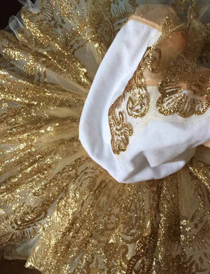 The Sleeping Beauty Kids Tutu - Aurora I