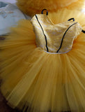 The Nutcracker Ballet Tutu Pro - Chinese